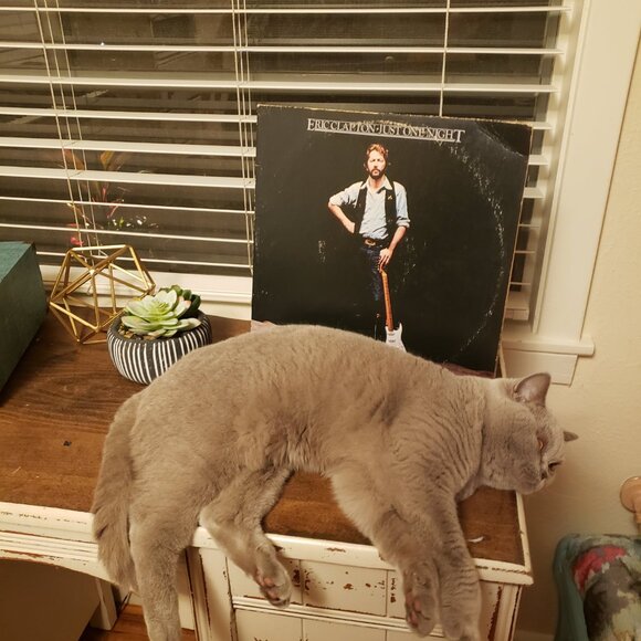 Meet your Posher, Elizabeth! - Picture 7 of 7